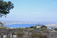 Enlarge photo 40
