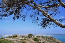 Enlarge photo 44