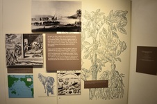 Enlarge photo 56