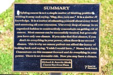 Enlarge photo 49