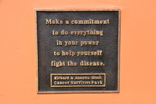 Enlarge photo 59