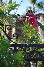 Enlarge photo 9