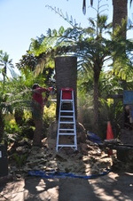 Enlarge photo 12