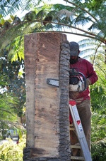 Enlarge photo 15