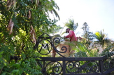 Enlarge photo 21
