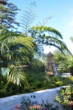 Enlarge photo 27
