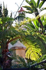 Enlarge photo 30