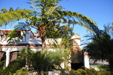 Enlarge photo 33