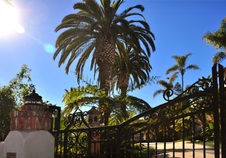 Enlarge photo 37