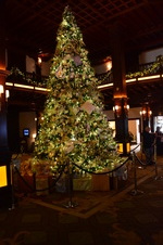 Enlarge photo 24