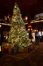 Enlarge photo 25
