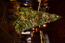 Enlarge photo 31