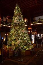 Enlarge photo 26