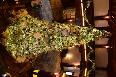 Enlarge photo 32