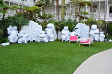 Enlarge photo 37