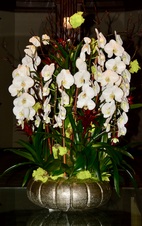 Enlarge photo 66