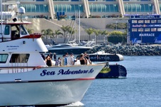 Enlarge photo 73