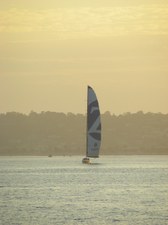 Enlarge photo 26