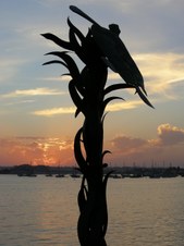 Enlarge photo 36