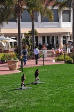Enlarge photo 6