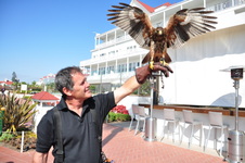 Enlarge photo 10