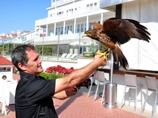 Enlarge photo 12