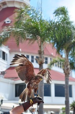 Enlarge photo 18