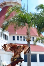 Enlarge photo 19
