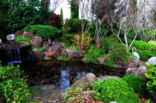 Enlarge photo 14