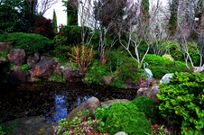 Enlarge photo 15