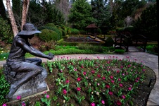 Enlarge photo 20