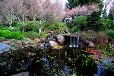 Enlarge photo 23