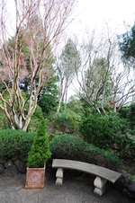 Enlarge photo 26