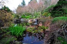 Enlarge photo 27
