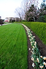 Enlarge photo 28