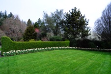 Enlarge photo 29
