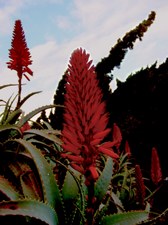 Enlarge photo 28