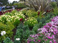 Enlarge photo 31