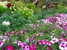 Enlarge photo 32
