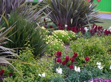 Enlarge photo 34