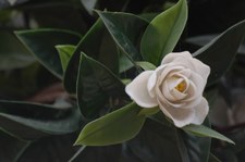 Enlarge photo 13