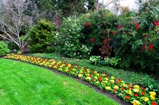 Enlarge photo 16