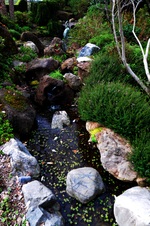Enlarge photo 18