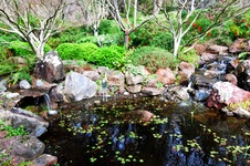 Enlarge photo 24