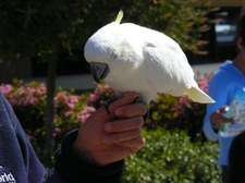 Enlarge photo 9