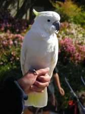 Enlarge photo 7