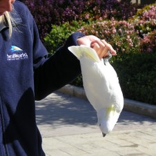 Enlarge photo 5