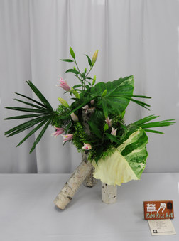 Enlarge photo 14