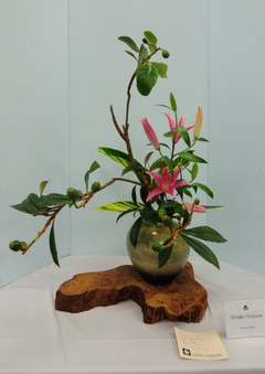 Enlarge photo 20