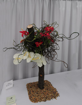 Enlarge photo 24